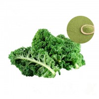 Factory Supply Kale Powder