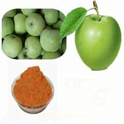 100% pure apple/ peel/seed extract/apple stem cell apple extract