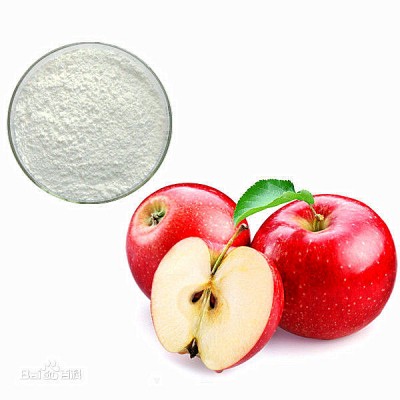 100% Natural skin whitening pyrus malus (apple) fruit extract/95% Phloretin pure apple extract/Phloridzin