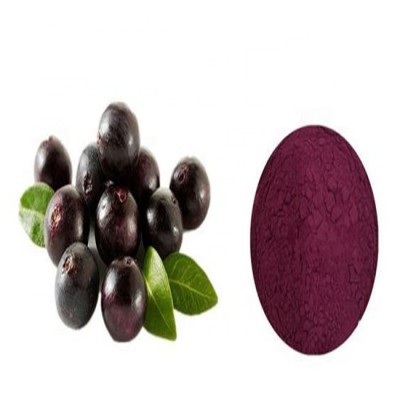 Supply Organic 10:1 Acai Berry Extract Powder