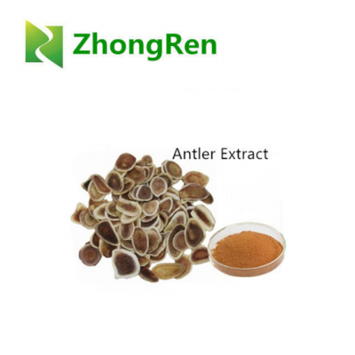 Spot supply Deer Antler Velvet Extract Powder  with high quality