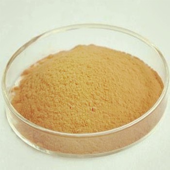 Hot Sale High Quality Astragalus root extract Astragaloside IV50%