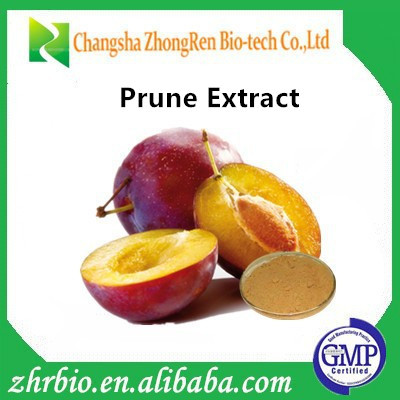 Manufacturer Supplier Prune Extract,Good Quality Prune Extract Powder