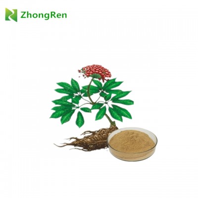 Pure natural Sanchi Extract, Panax Notoginseng Powder, Notoginsenosides