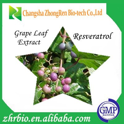 GMP Certificate Grape Leaf Extract Grape skin Extract 10:1