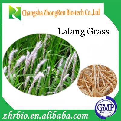 GMP factory supply best popular high quality Lalang Grass Rhizome Extract