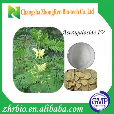 Hot Sales 98% Astragaloside IV Astragalus extract powder