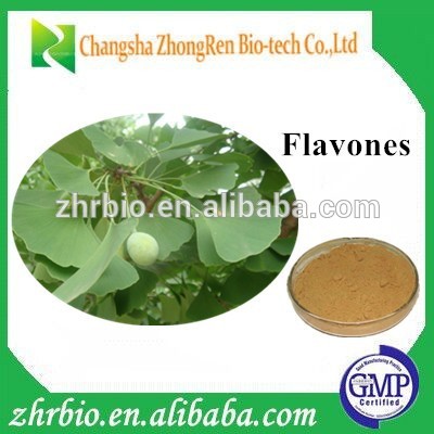 GPM factory Ginkgo Biloba Extract Powder(Flavones24%)