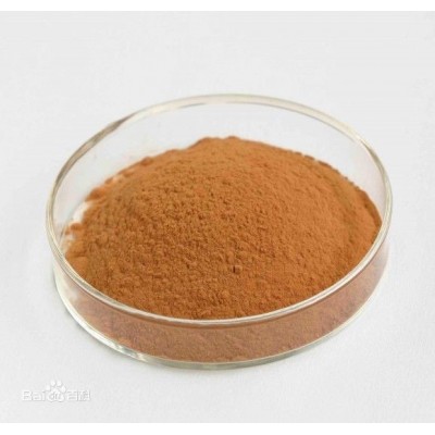 Herbal Extract Salidroside 1% 2% 3% Rhodiola Rosea Extract Powder