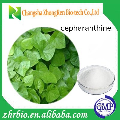 Hot sale high quality Epigeal Srephaia Root extract cepharanthine