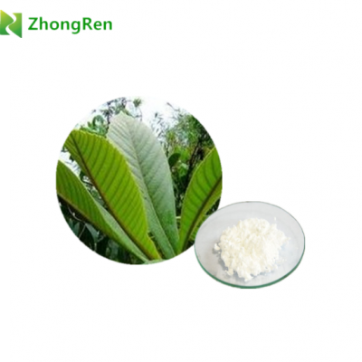 Supply High Quality 98% Ursolic Acid Powder