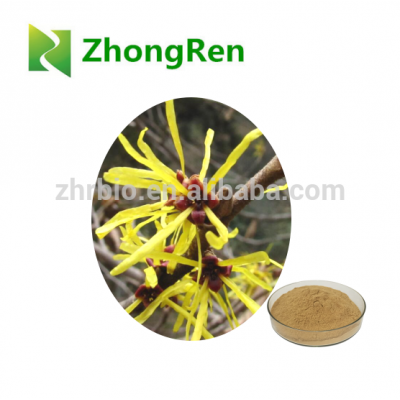 GMP factory supply natural Witch Hazel Extract for skin care