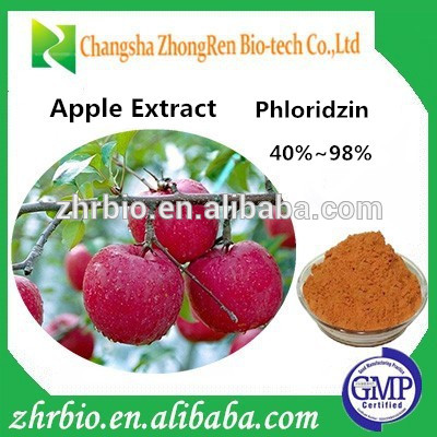 Cas No: 60-81-1 Apple Extract Phlorizin 80%