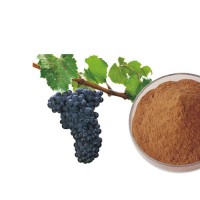 99% Resveratrol Grape Skin Extract by HPLC