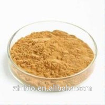 GMP Factory Supply Icariin 50% 60% 80% 98% epimedium extract/Enhance sex healthcare supplement