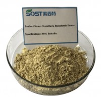 SOST Wholesale Scutellaria Baicalensis Root Extract Powder Baicalin 85%