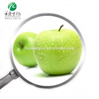 ISO factory supply Green Apple Extract Powder