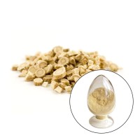 0.5%-98% Powder Organic Astragalus Polysaccharide Extract