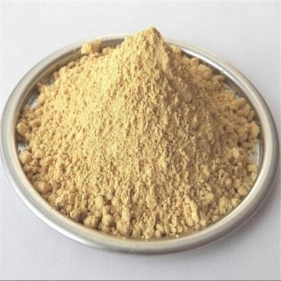 GMP factory supply Pure natural Ginseng Root Extract Panaxoside 90%