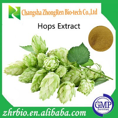 100% pure Natural hops flower extract/ flavonoid hops extract