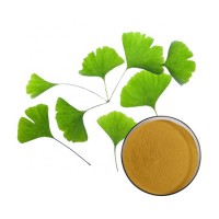 Factory Direct Sales ginkgo biloba best brand