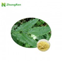 Powder from and drum packaging Epimedium Extract Icariin 98% for health care