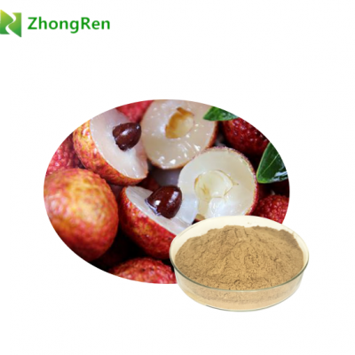 Litchi extract powder lychee seed extract Polyphenol 70%