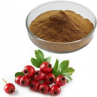 Free sample  5% natural flavones hawthorn fruit extract hawthorn berry extract powder