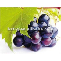 Anti high blood pressure : grape leaf extract