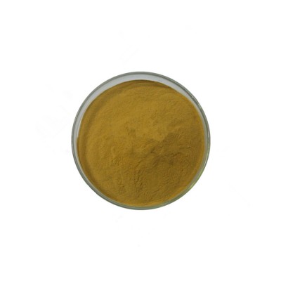 GMP Certificate 100% Nature Tongkat Ali Extract 200:1