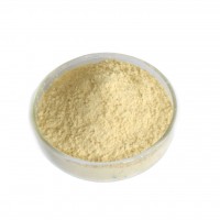 Natural Plant Extract Mango Powder extract powder 20%