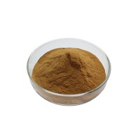 wholesale best products for import valerian root extract powder